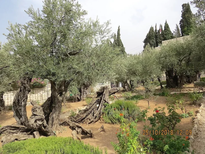 Holy Land, October 2018: pilgrims' photo 5